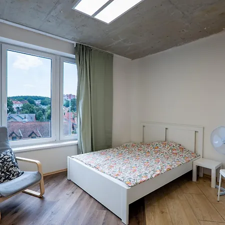 Brand New Penthouse #34 Near Center With Free Parking *