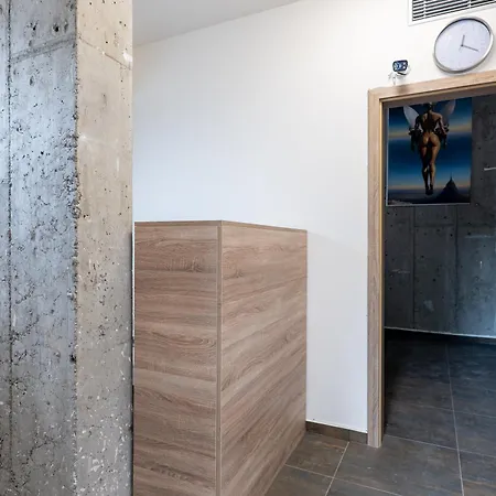 Brand New Penthouse #34 Near Center With Free Parking * 布拉格