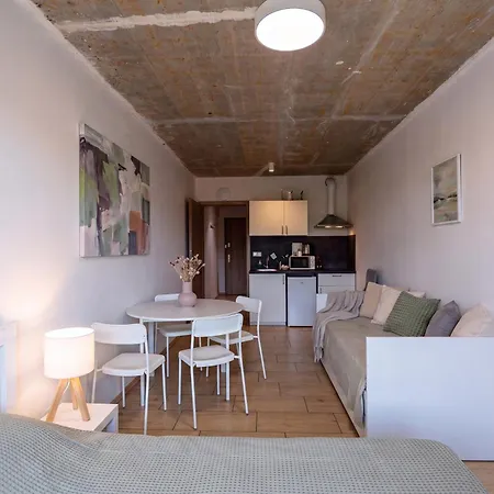 公寓 Brand New Penthouse #34 Near Center With Free Parking